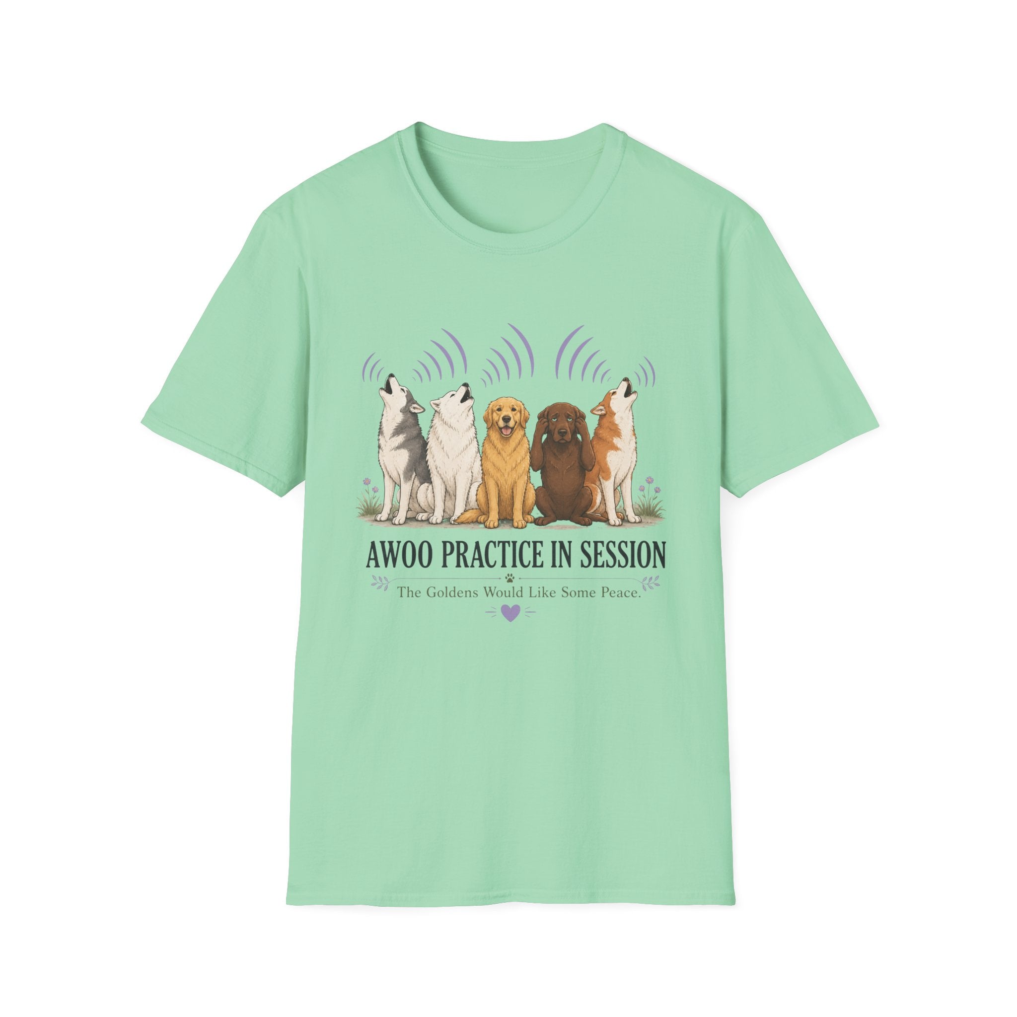 Awoo Practice in Session T-Shirt