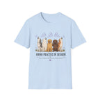 Awoo Practice in Session T-Shirt