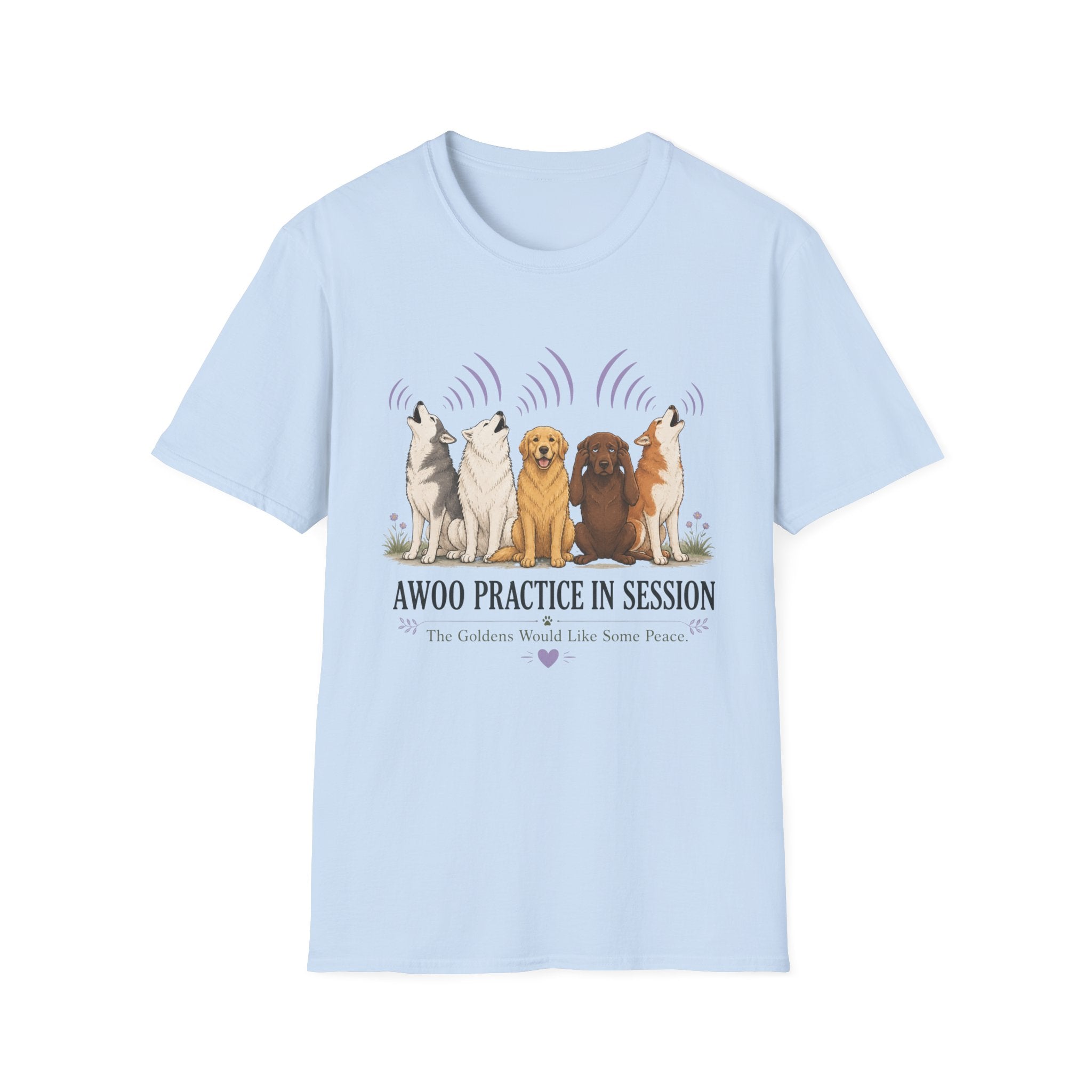 Awoo Practice in Session T-Shirt