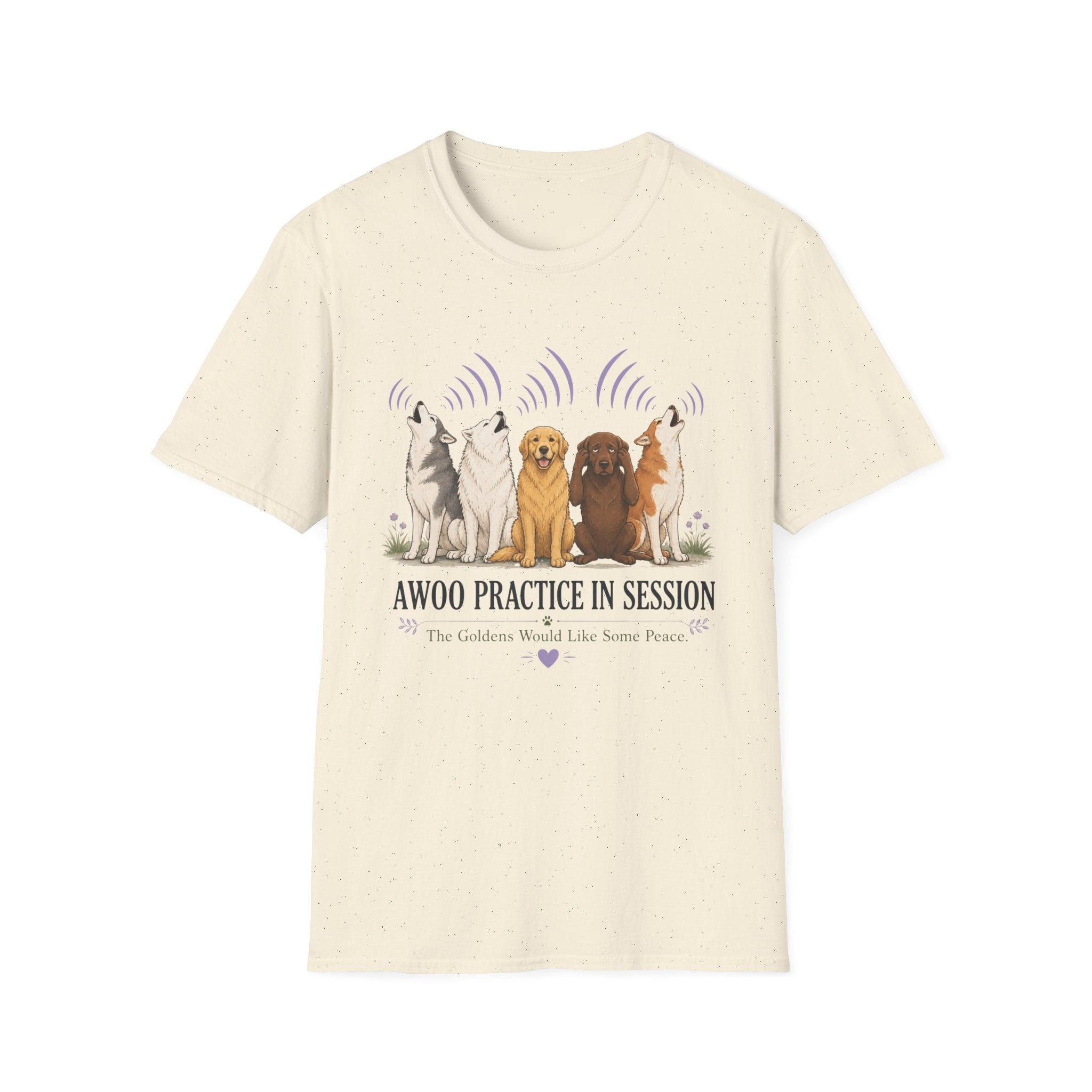 Awoo Practice in Session T-Shirt