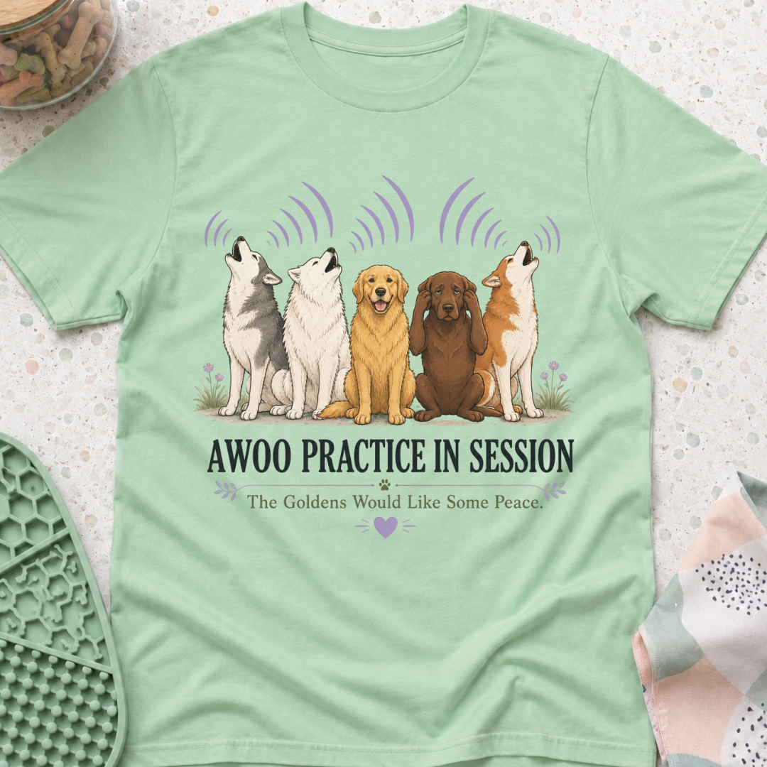 Awoo Practice in Session T-Shirt