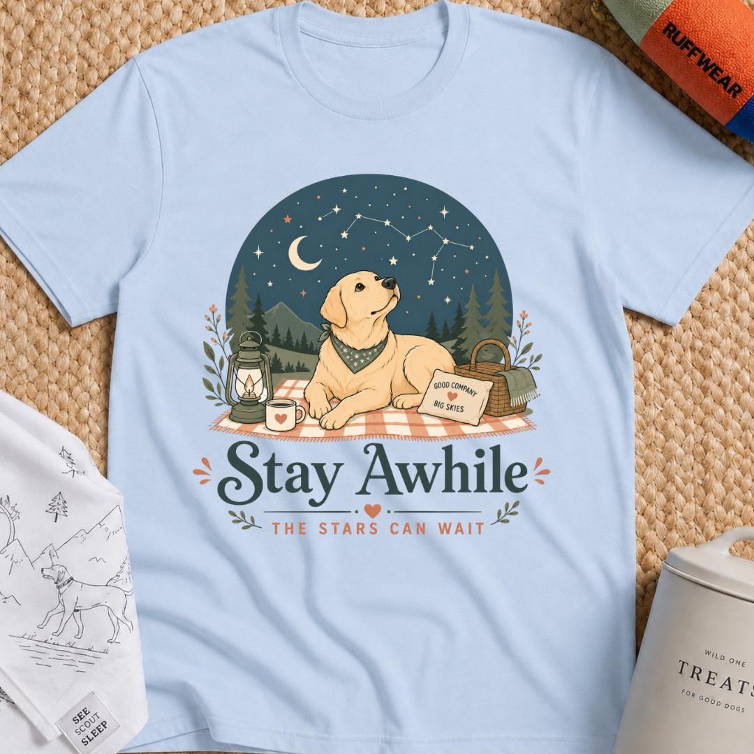 Stay Awhile The Stars Can Wait T-Shirt