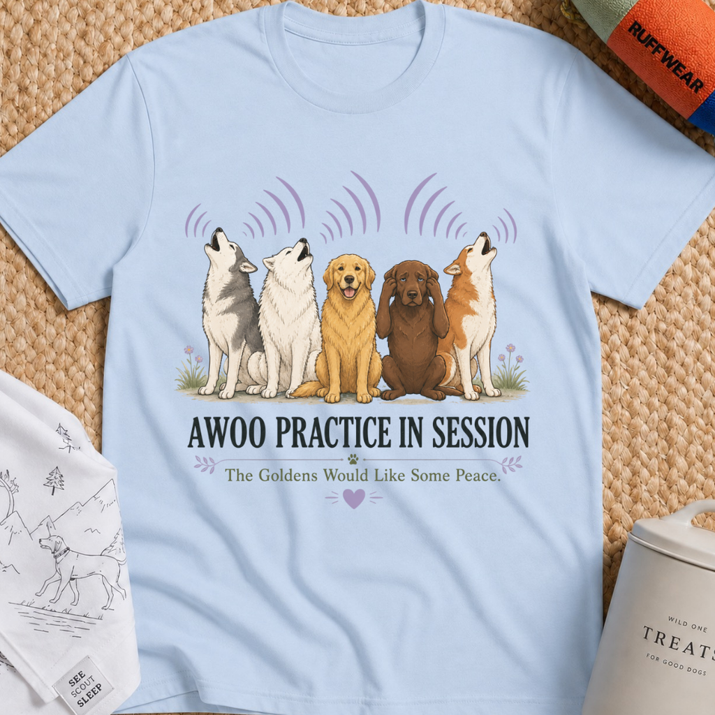 Awoo Practice in Session T-Shirt